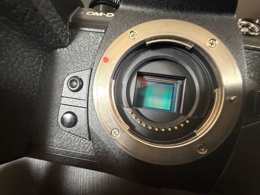 【美品】OLYMPUS E-M1 Mark2 付属品多数 + おまけレンズ付