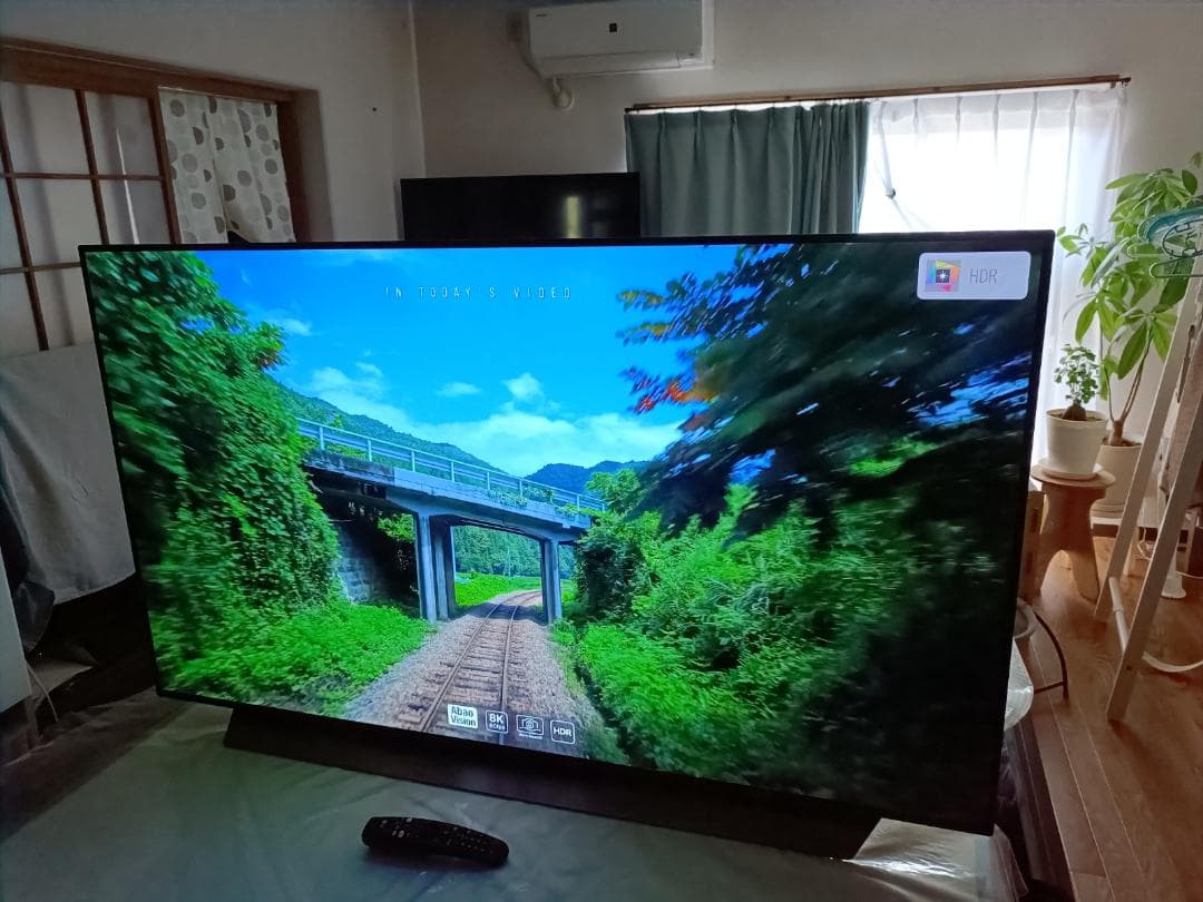 Du Hong LG OLED55C9PJA 2019年製 4K 有機EL