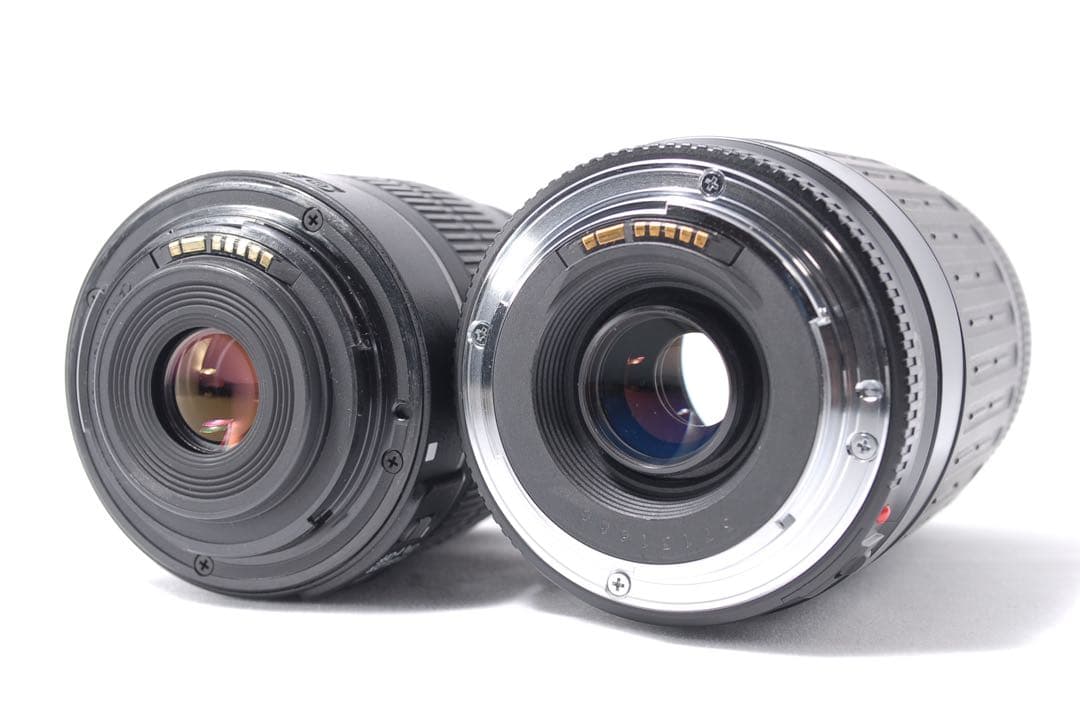 キャノン EOS 60D S数少✨美品✨手ぶれ補正標準＆超望遠付Wレンズセット