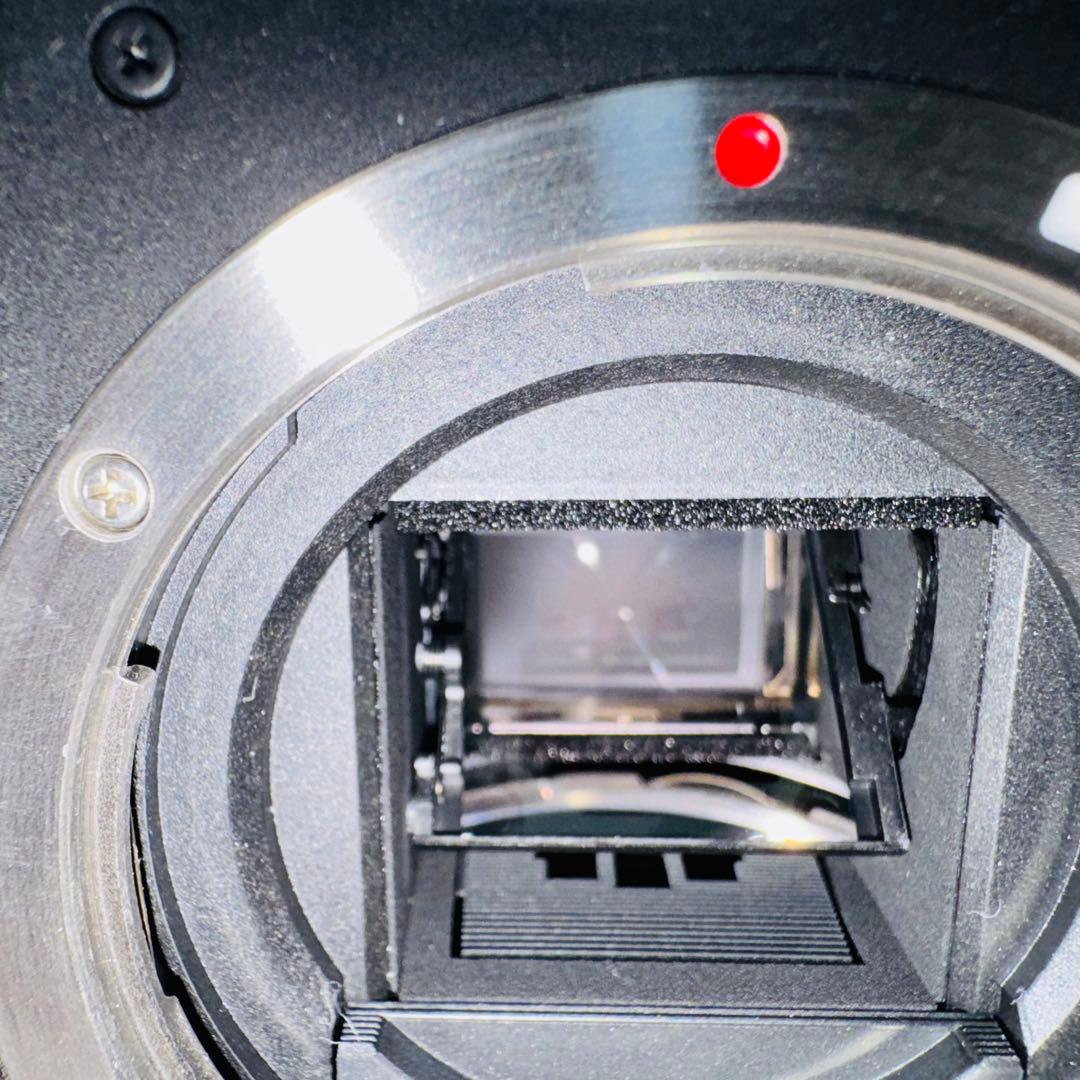 Canon EOS Kiss X5 レンズキット　 スマホ転送すぐ使えます