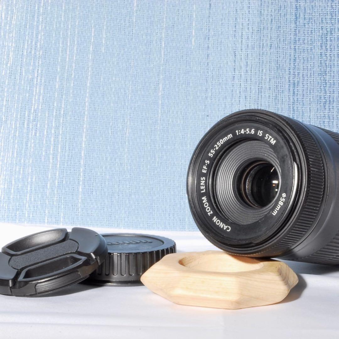 ✨手振れ補正機能付✨EF-S 55-250mm f/4-5.6 IS STM Ⅱ