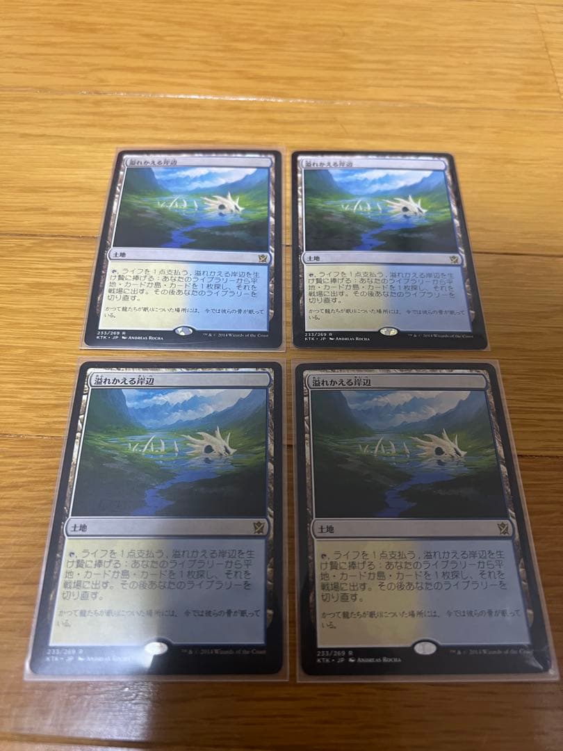 溢れかえる岸辺 4枚セット 日本語