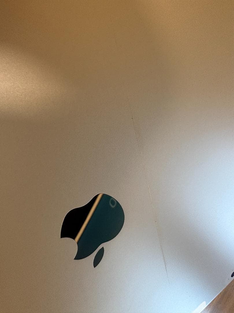 iPad Pro (12.9インチ) 128GB ゴールド　第一世代