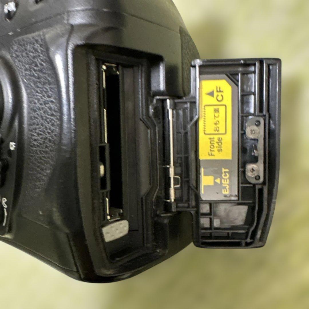 Nikon D200 デジタル一眼レフカメラ 本体