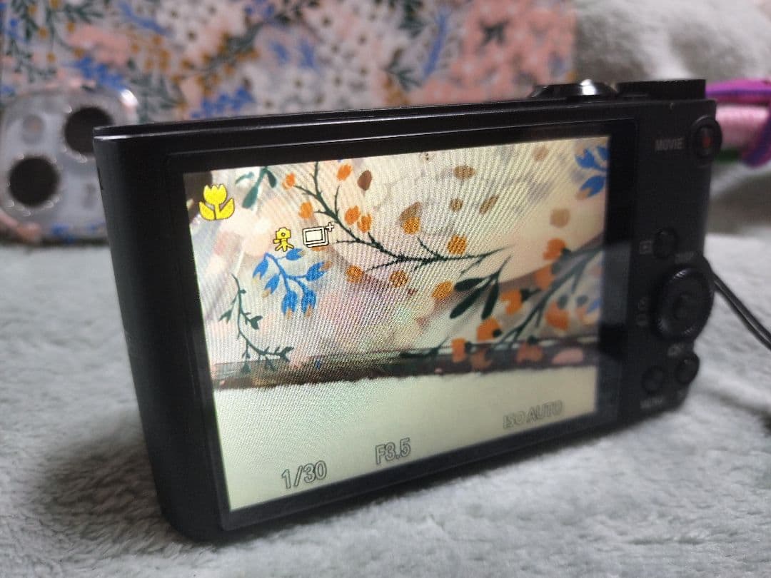 SONY Gシリーズ 20倍光学ズーム コンパクトデジタルカメラ　美品動作確認済