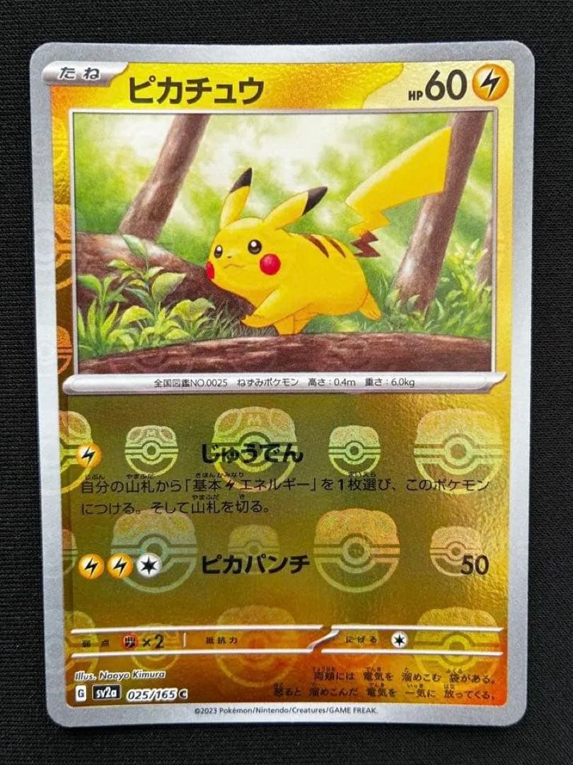 ピカチュウ マスターボールミラー