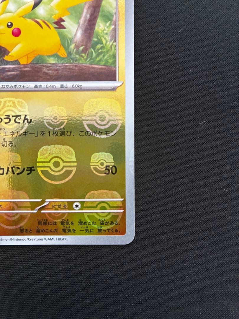 ピカチュウ マスターボールミラー