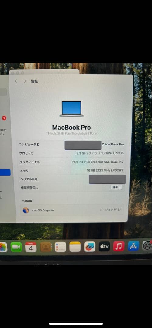 MacBook本体 MacBook Pro 512GB SSD