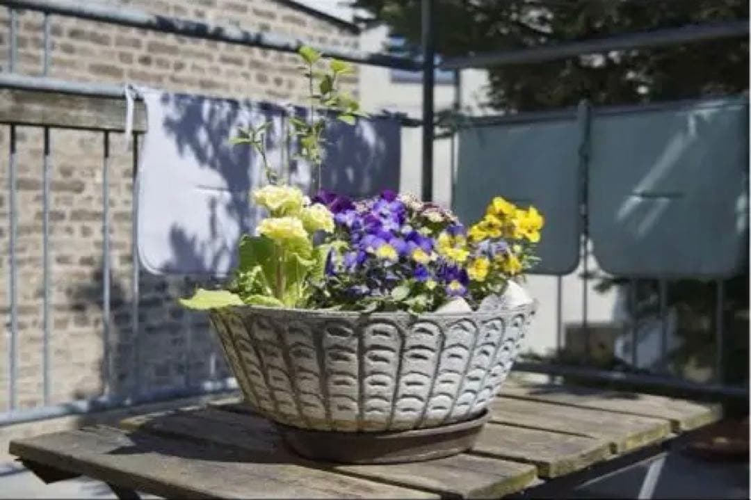 カラースコパー カスタムレンズ　50mmF2.8　M42