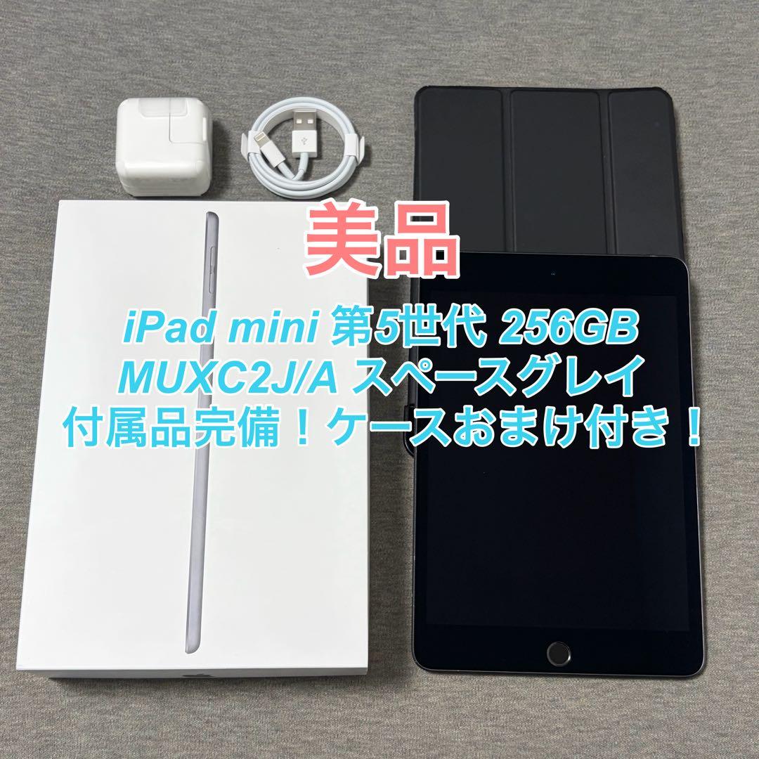 【美品】iPad mini（第5世代） 256g SIMフリー 箱付き