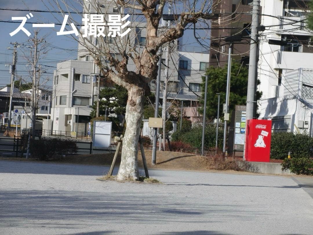 実写美⭕️【動作確認済】CASIO EXILIM EX-FC100 デジカメ