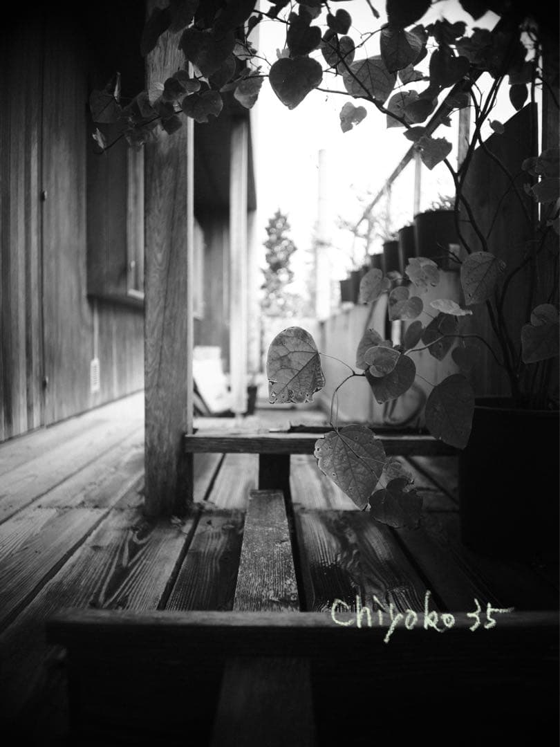 Chiyoko rokkor 3.5cm3.5 希少 前期モデル