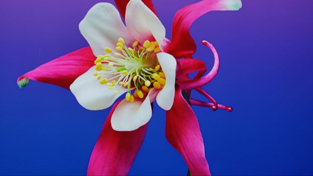 ❤️ Apple iMac 27インチ 2.9GHz ✨ i5 24gb ram