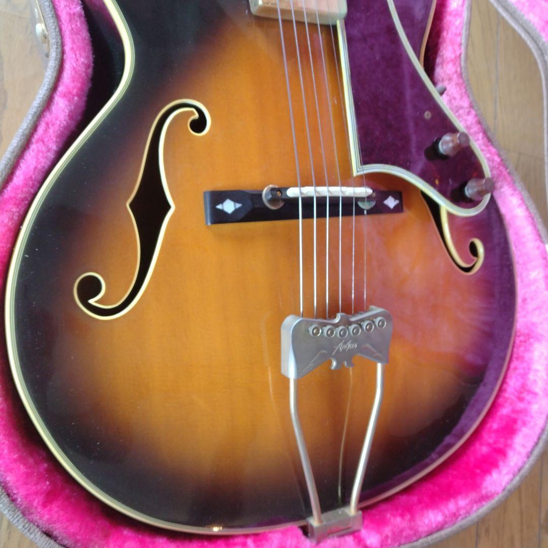 argus✩ギター✩DJ-23✩ジャンク扱いで✩10月までの限定出品です