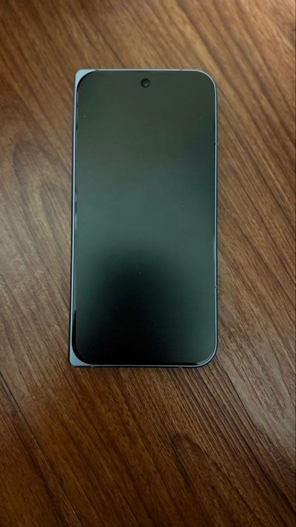 極美品Google Pixel10Pro Fold 256GB 純正ケース付き