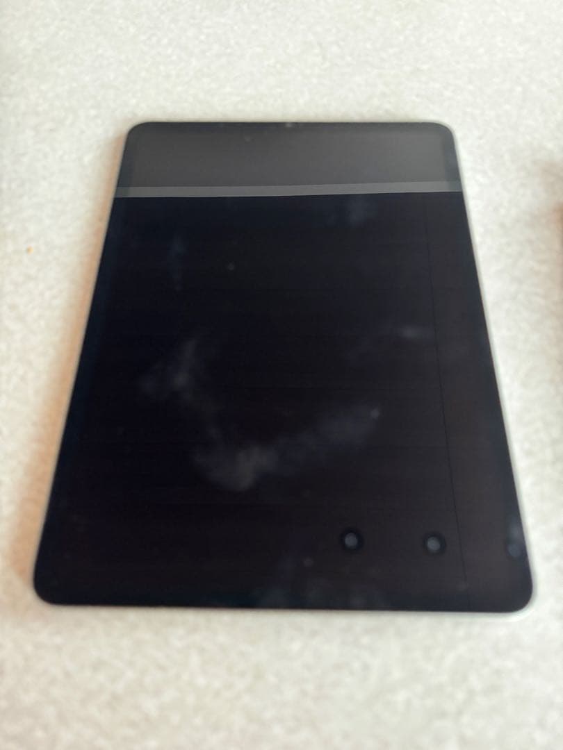 iPadPro11inch第四世代 128G USB-C充電器付き WIFI