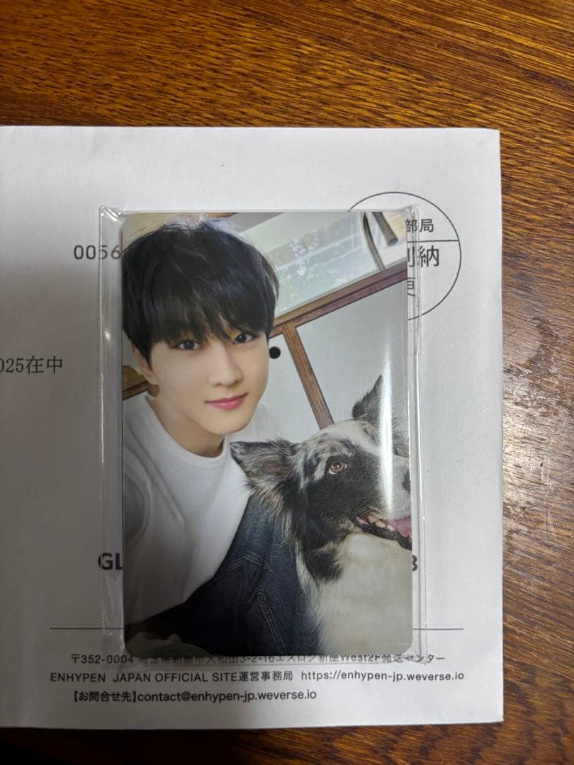 ENHYPEN アンケートトレカ 7人セット