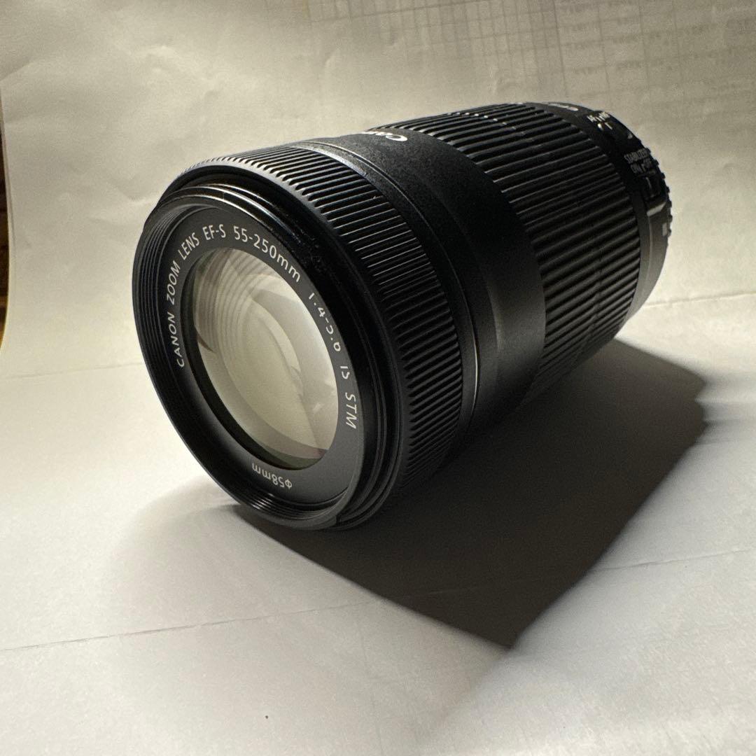 キヤノン Canon EF-S 55-250mm F4-5.6 IS STM