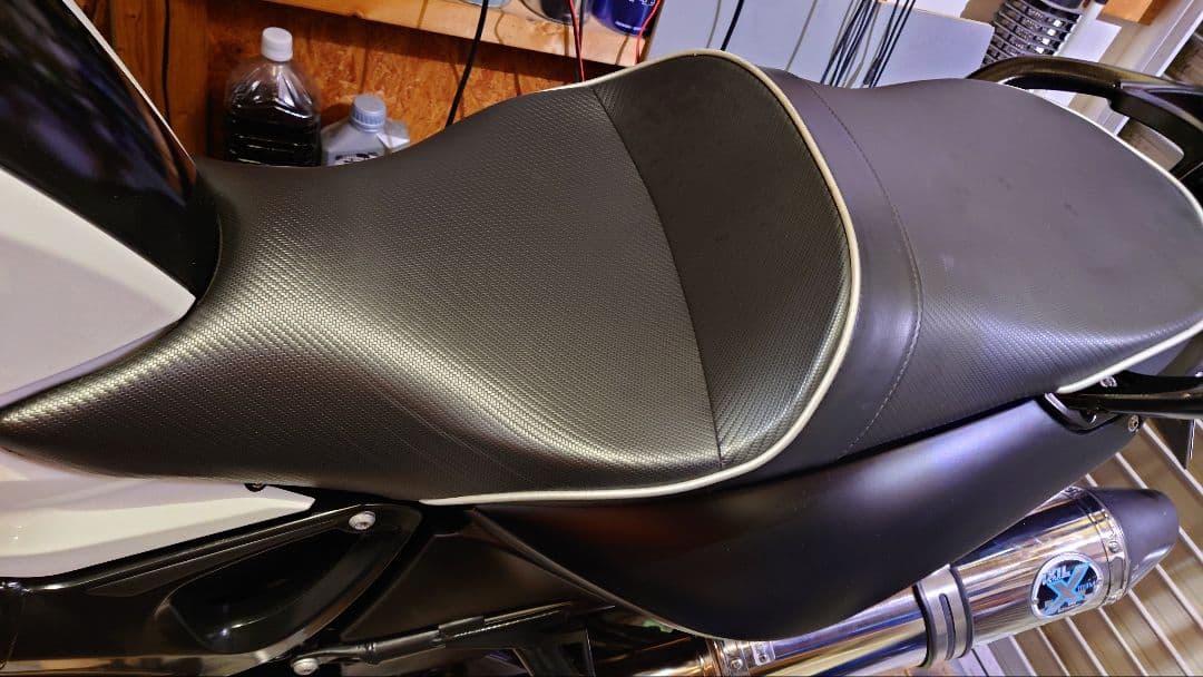 Sargent ワールドスポーツシート F800 GS ST R S f800