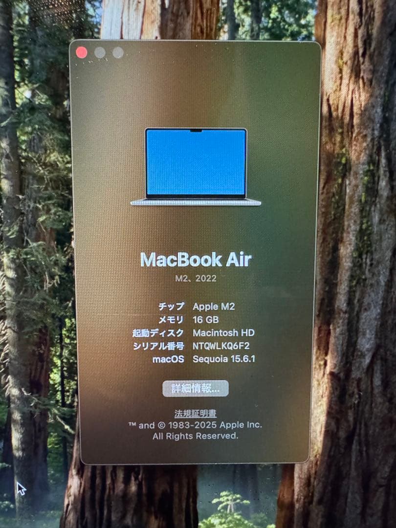 AppleMacBookAir M2 (2022) 16GB256GB USキー