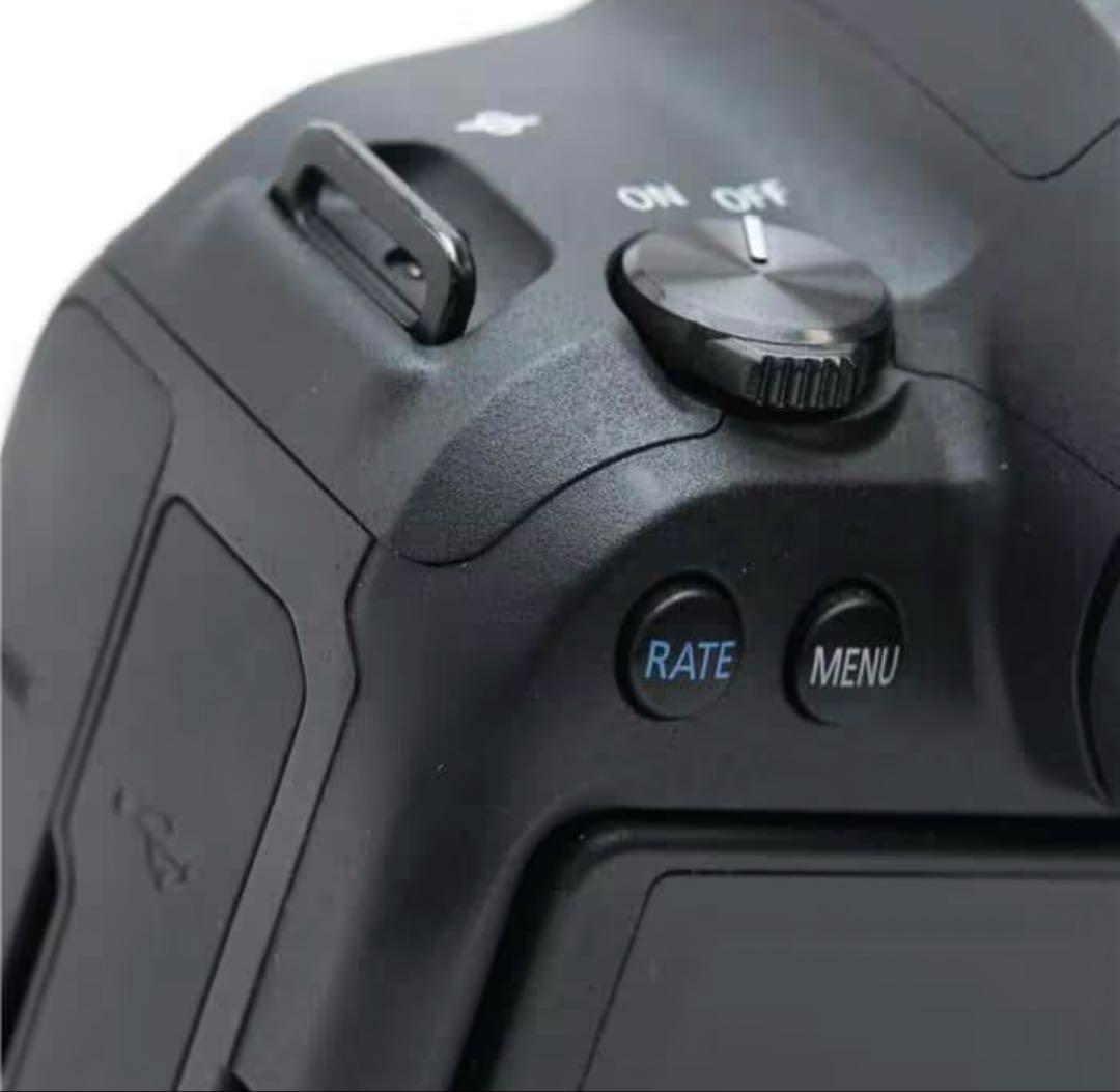 期間限定最安値　Canon EOS R6 ミラーレス一眼