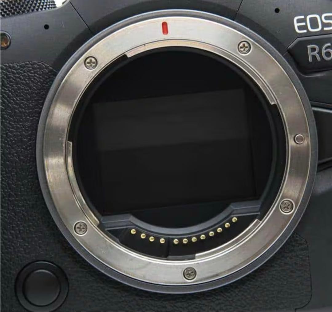 期間限定最安値　Canon EOS R6 ミラーレス一眼