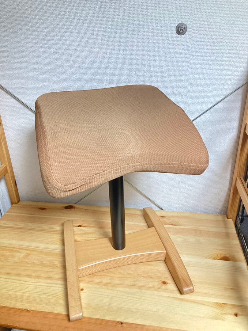 ☆Balans Synergy バランス シナジー 姿勢矯正 サカモトハウス