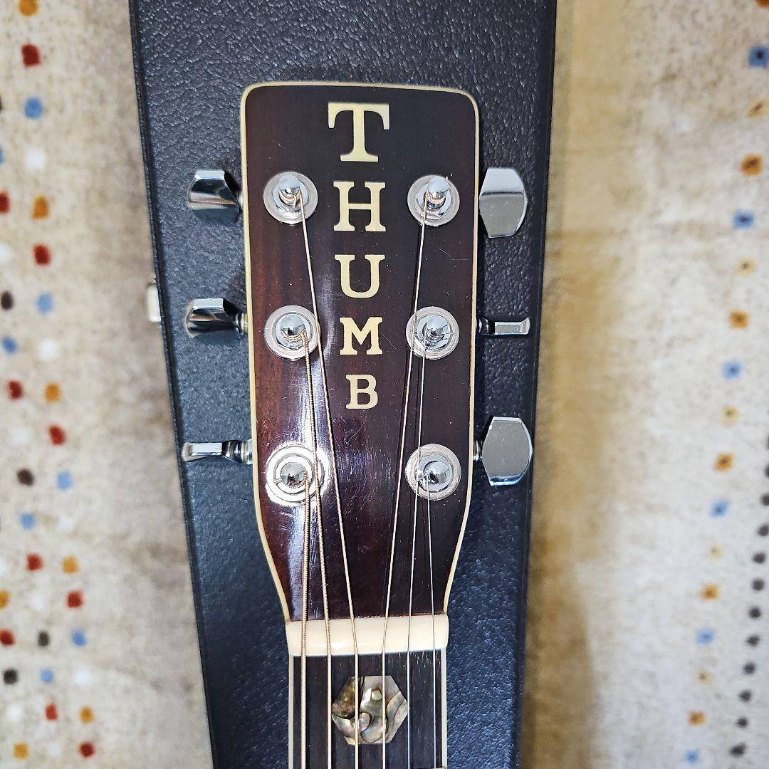 寺田楽器THUMB.MW-300ハードケース付き