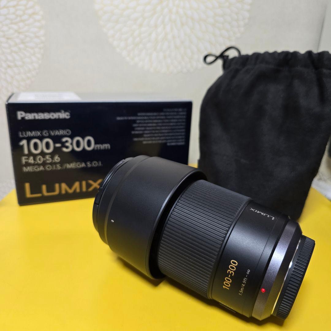 Panasonic LUMIX G VARIO 100-300mmおまけ付美品