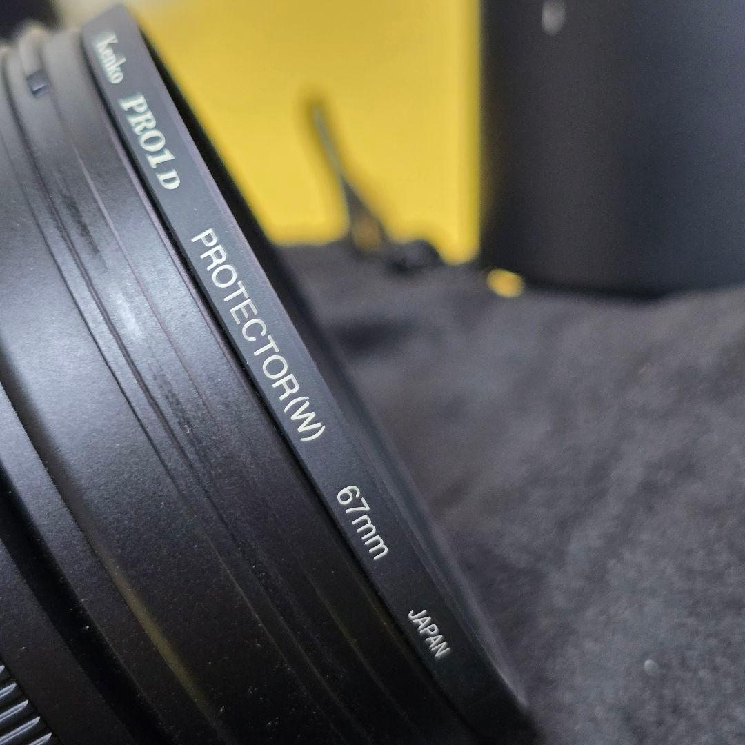 Panasonic LUMIX G VARIO 100-300mmおまけ付美品