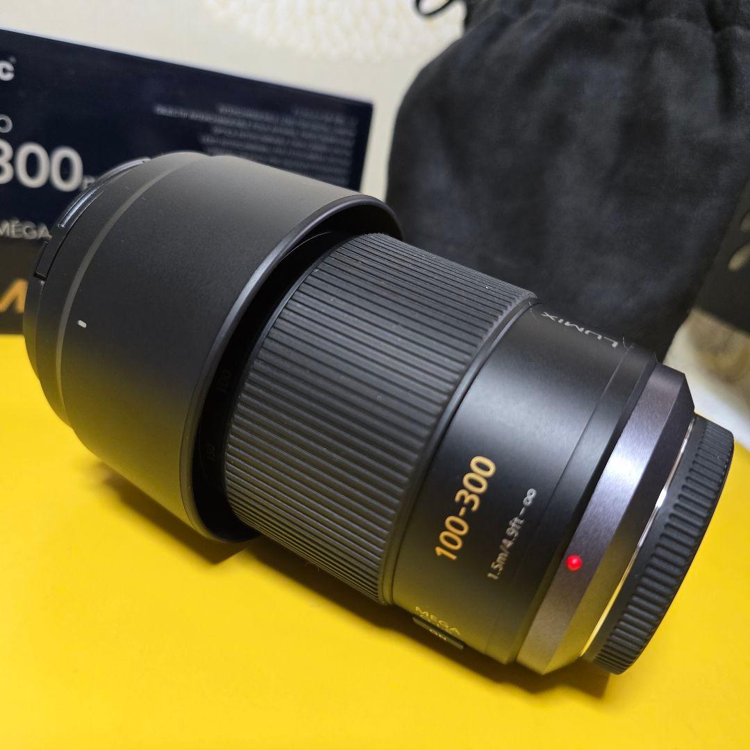 Panasonic LUMIX G VARIO 100-300mmおまけ付美品