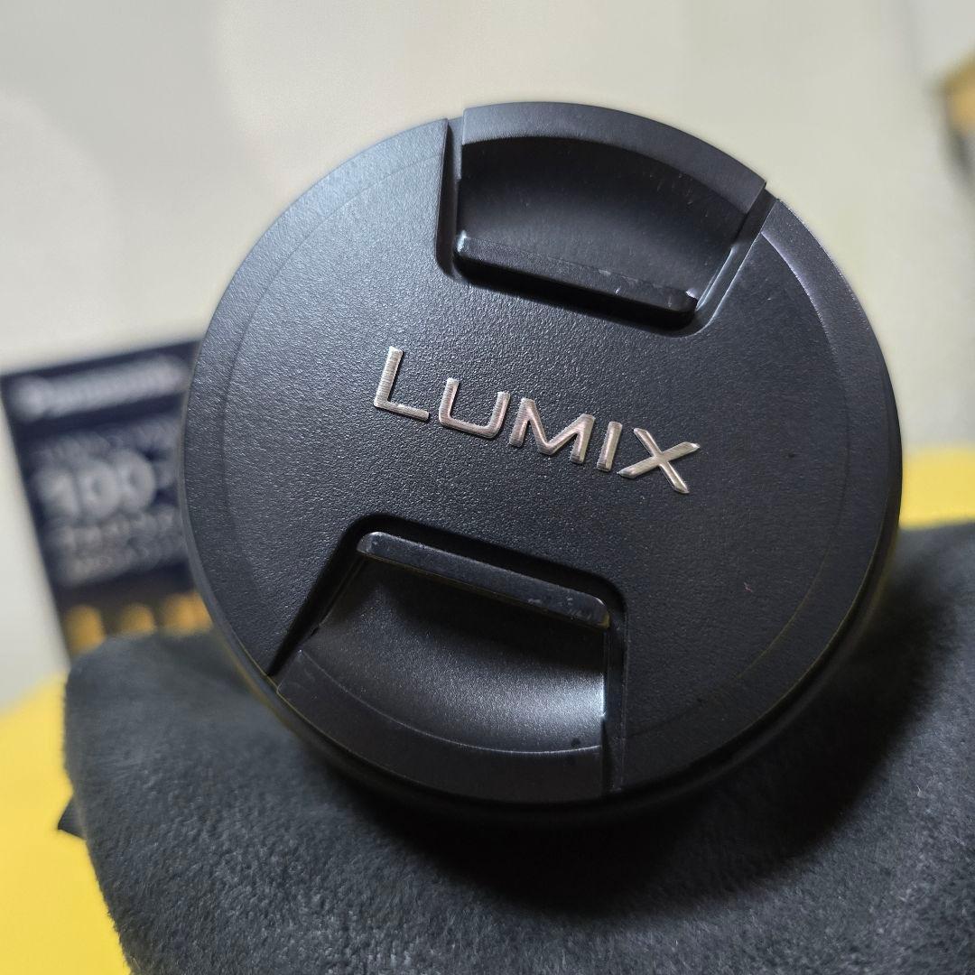 Panasonic LUMIX G VARIO 100-300mmおまけ付美品