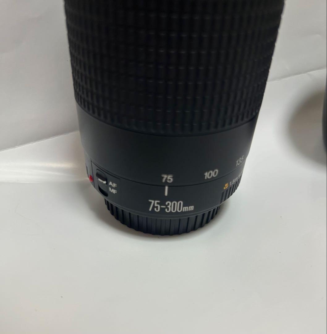 人気の望遠レンズ　フード付き　キヤノン Canon EF75-300㎜