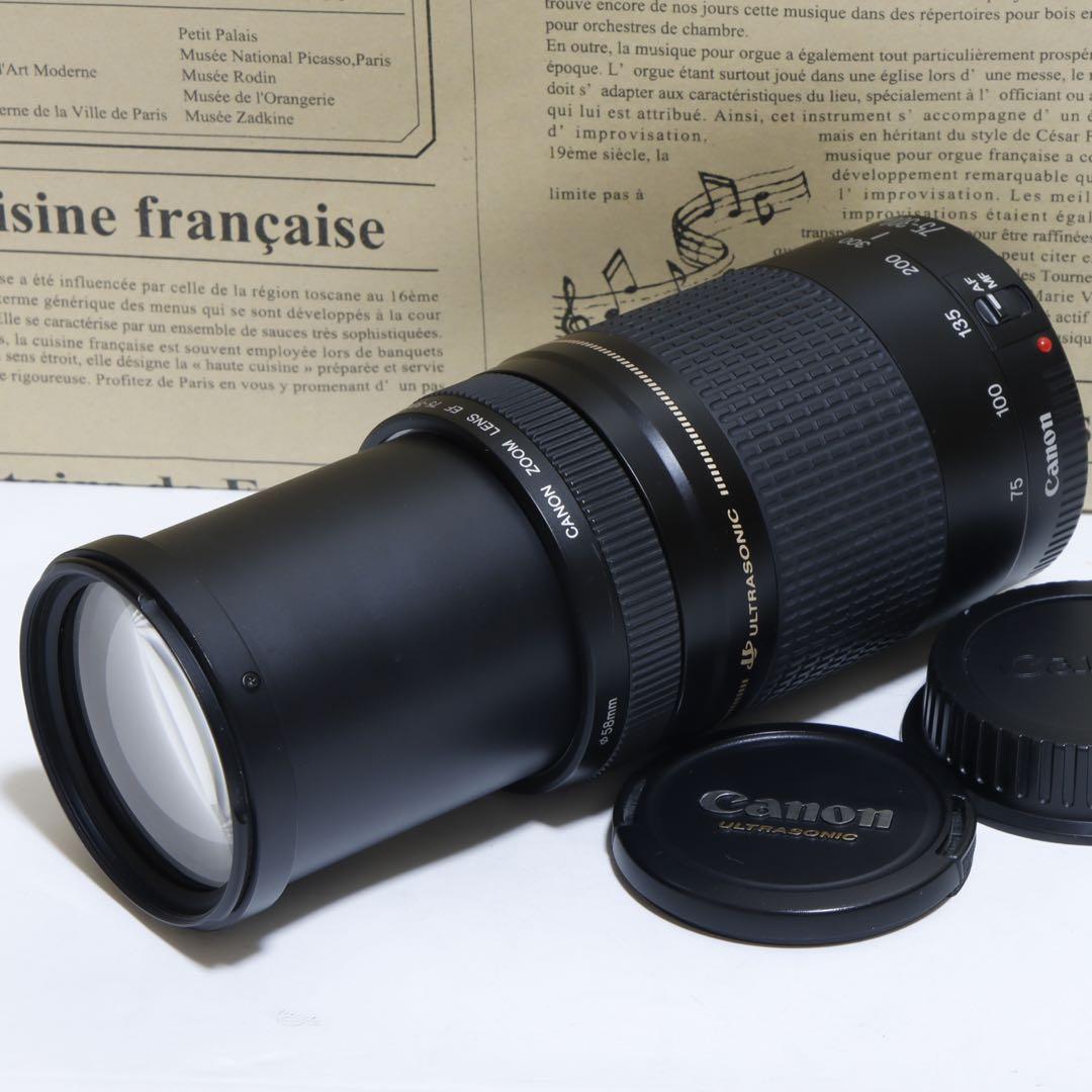 ◇超望遠&高速AF◇Canon純正 75-300mm II 望遠レンズ!!◇
