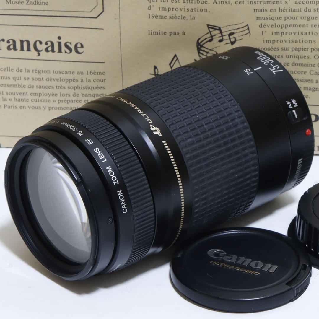 ◇超望遠&高速AF◇Canon純正 75-300mm II 望遠レンズ!!◇