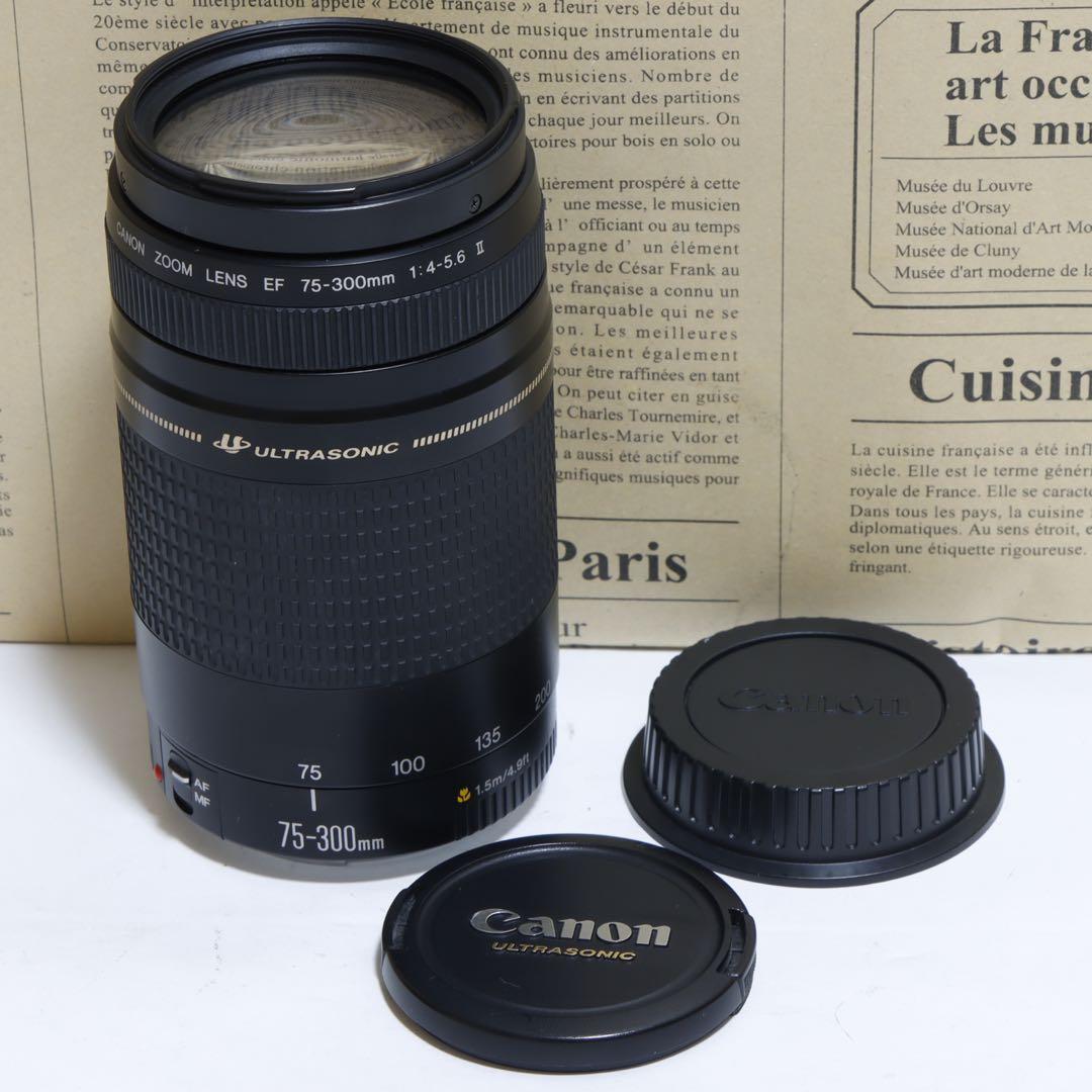 ◇超望遠&高速AF◇Canon純正 75-300mm II 望遠レンズ!!◇
