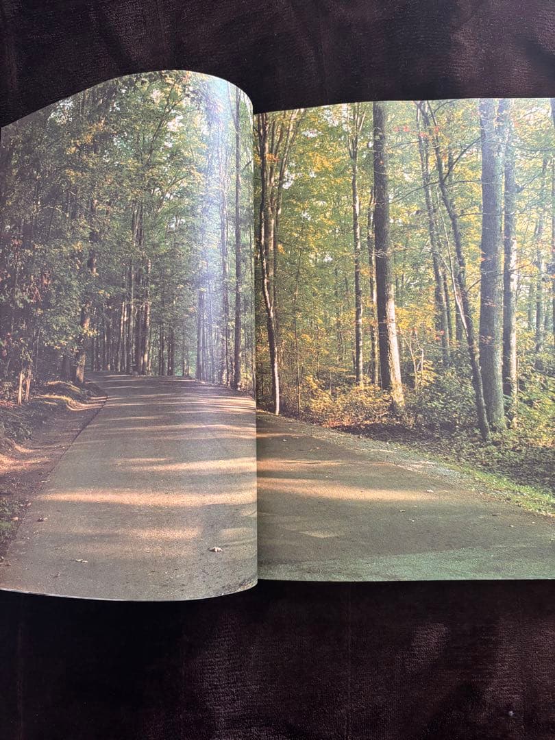 上田義彦 写真集　フランクロイドライト落水荘・タリアセン