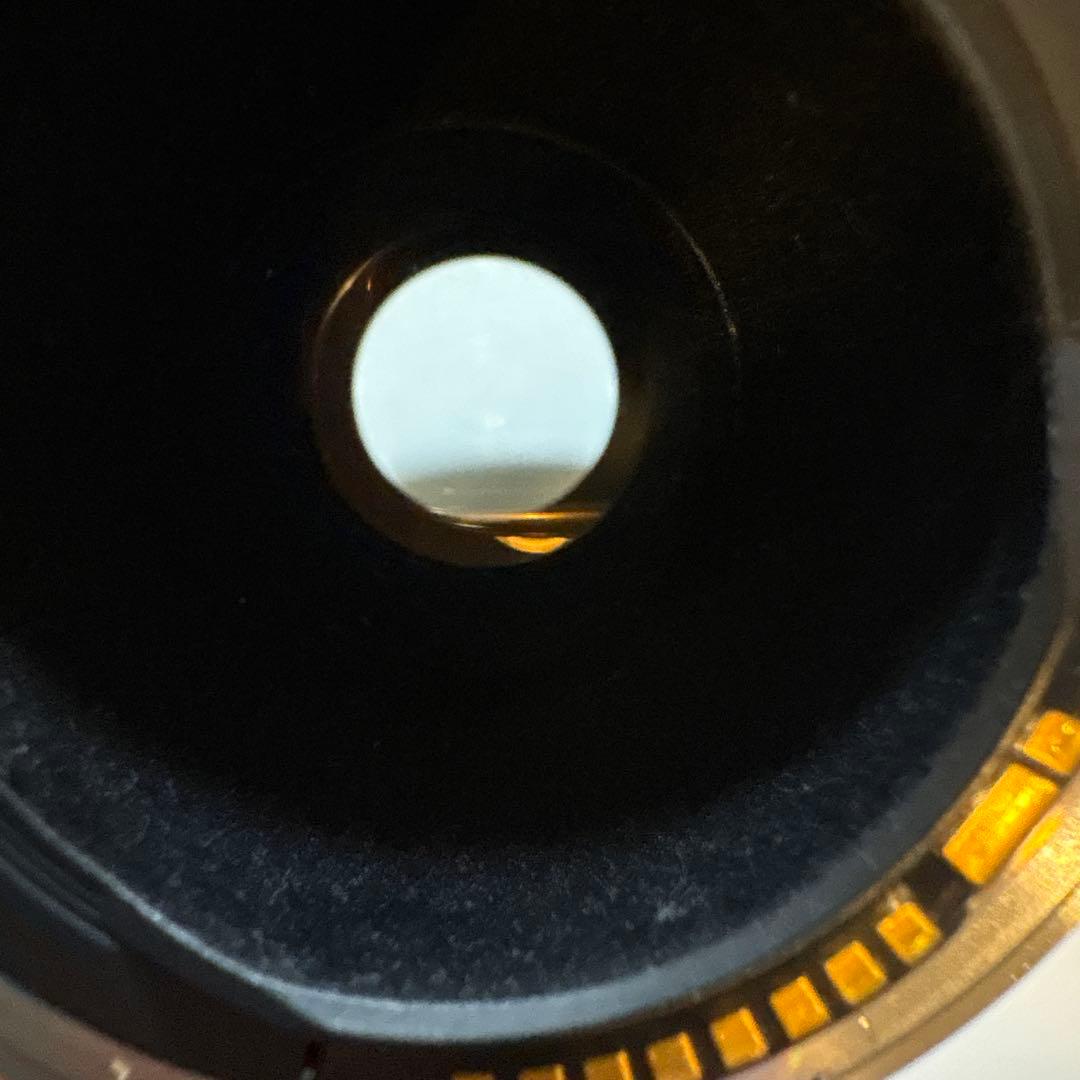 Canon EF 300mm 1:4 L ウルトラソニック