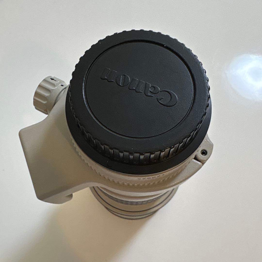 Canon EF 300mm 1:4 L ウルトラソニック