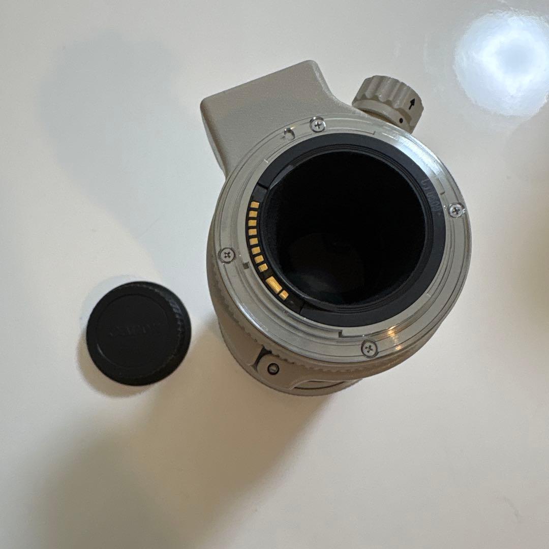 Canon EF 300mm 1:4 L ウルトラソニック