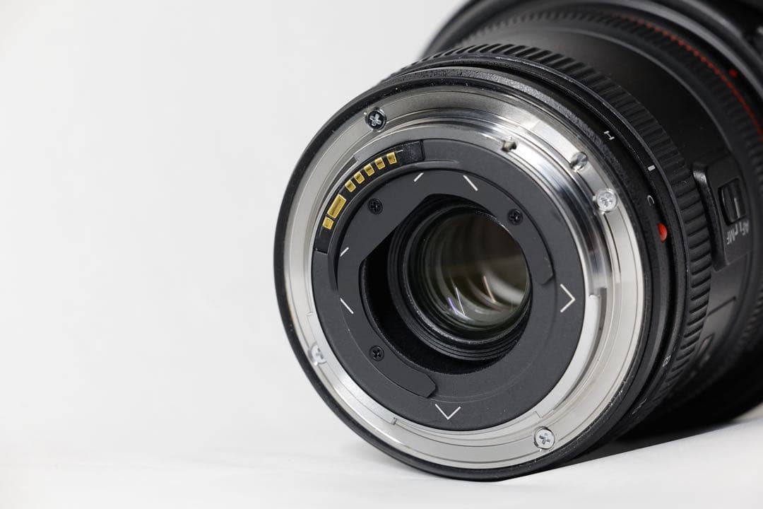 EF8-15mm F4L フィッシュアイ USM