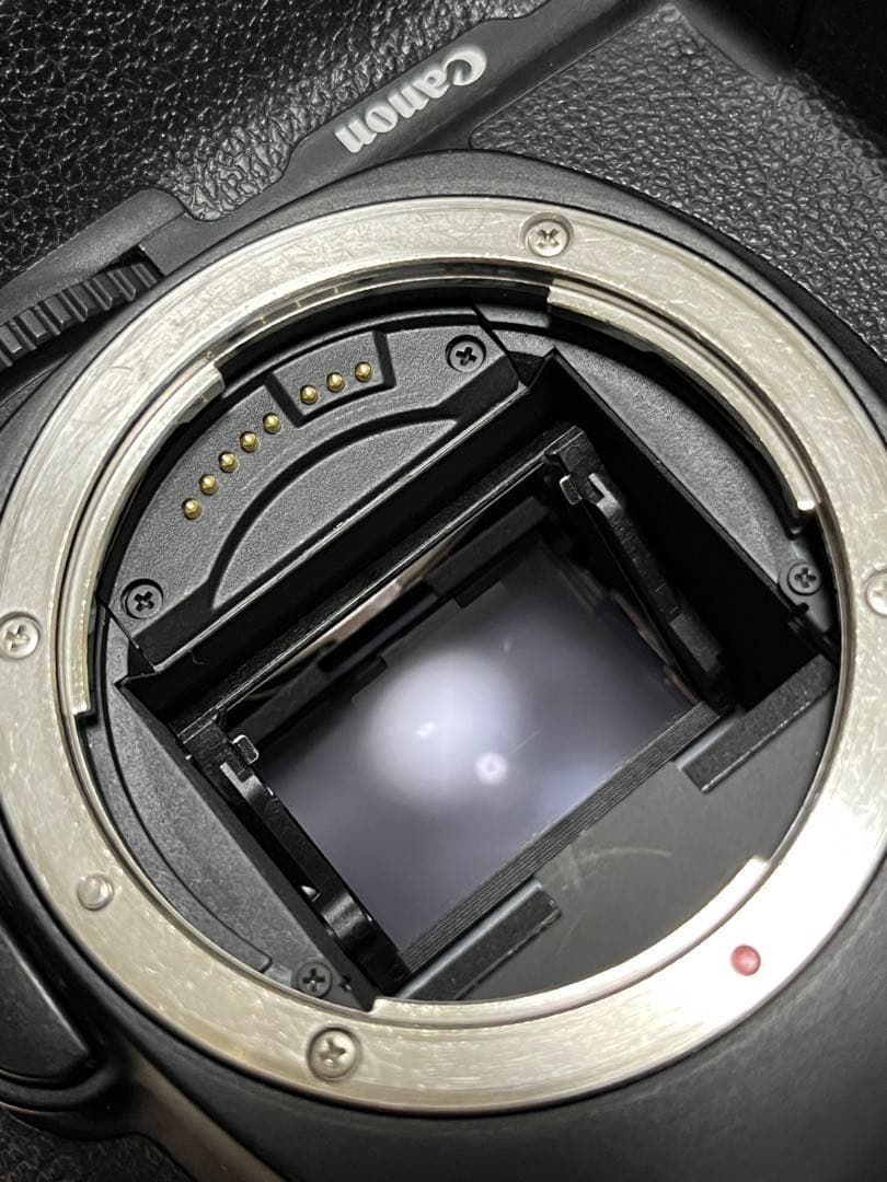 Canon eos 6D mark II （おまけ付き）