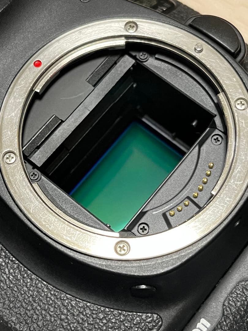 Canon eos 6D mark II （おまけ付き）