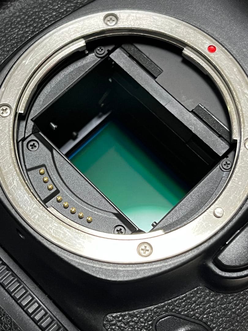 Canon eos 6D mark II （おまけ付き）