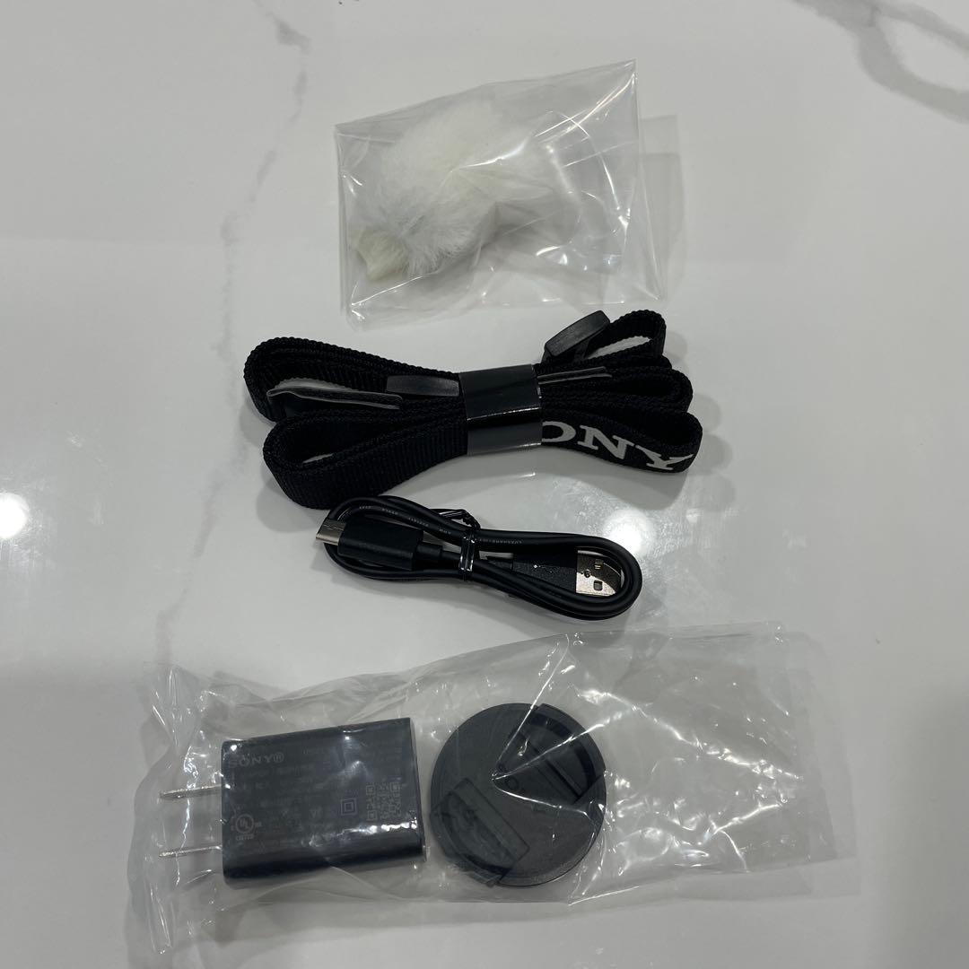 SONY ZV-E10 パワーズームレンズ セット