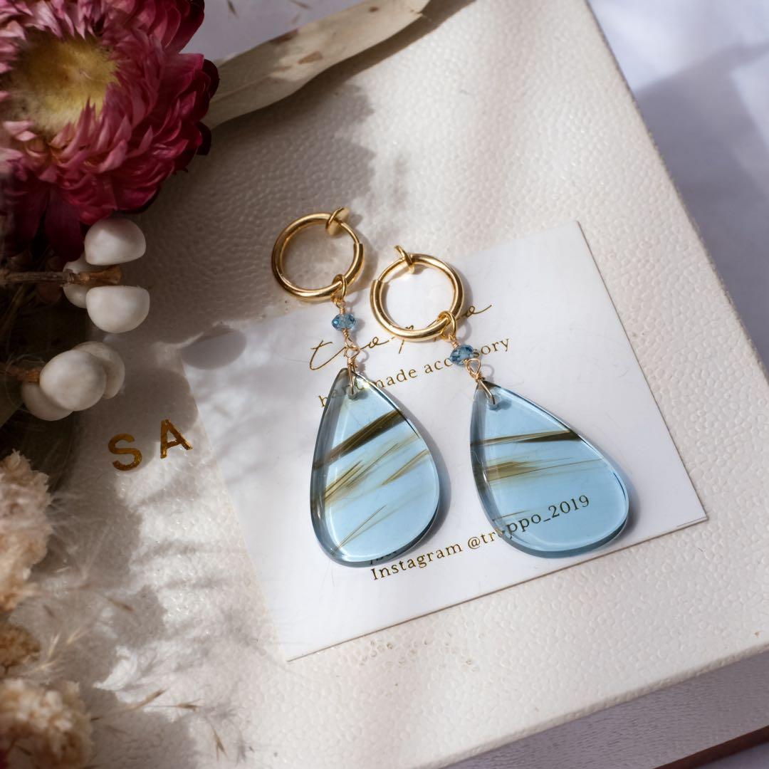 ポメころび 14kgfフォッシルコーラルピアス/イヤリング