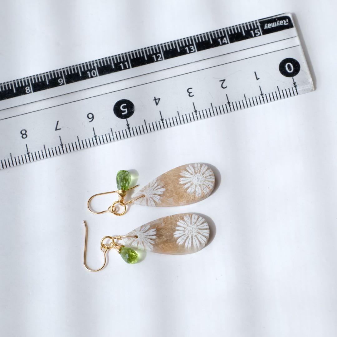 ポメころび 14kgfフォッシルコーラルピアス/イヤリング