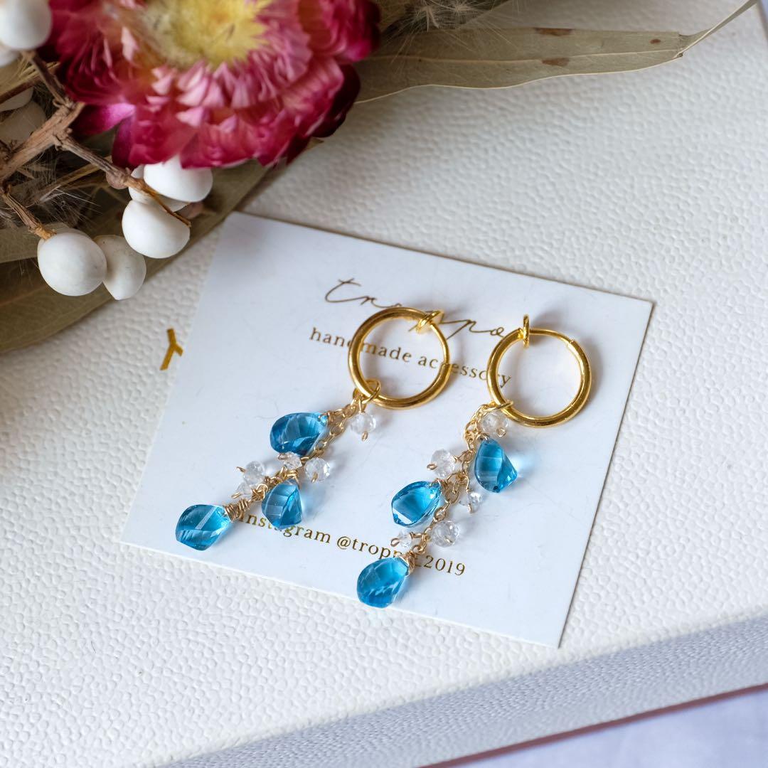 ポメころび 14kgfフォッシルコーラルピアス/イヤリング