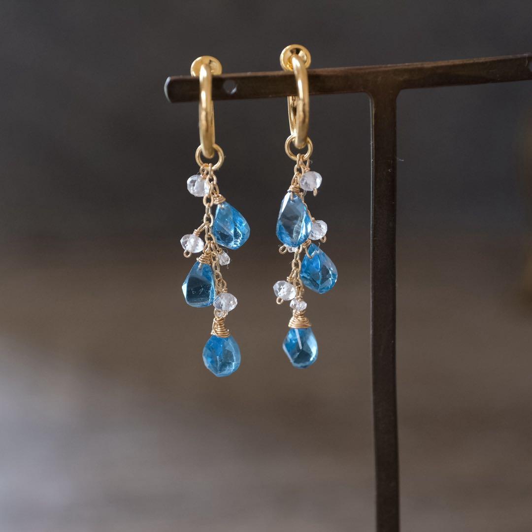 ポメころび 14kgfフォッシルコーラルピアス/イヤリング