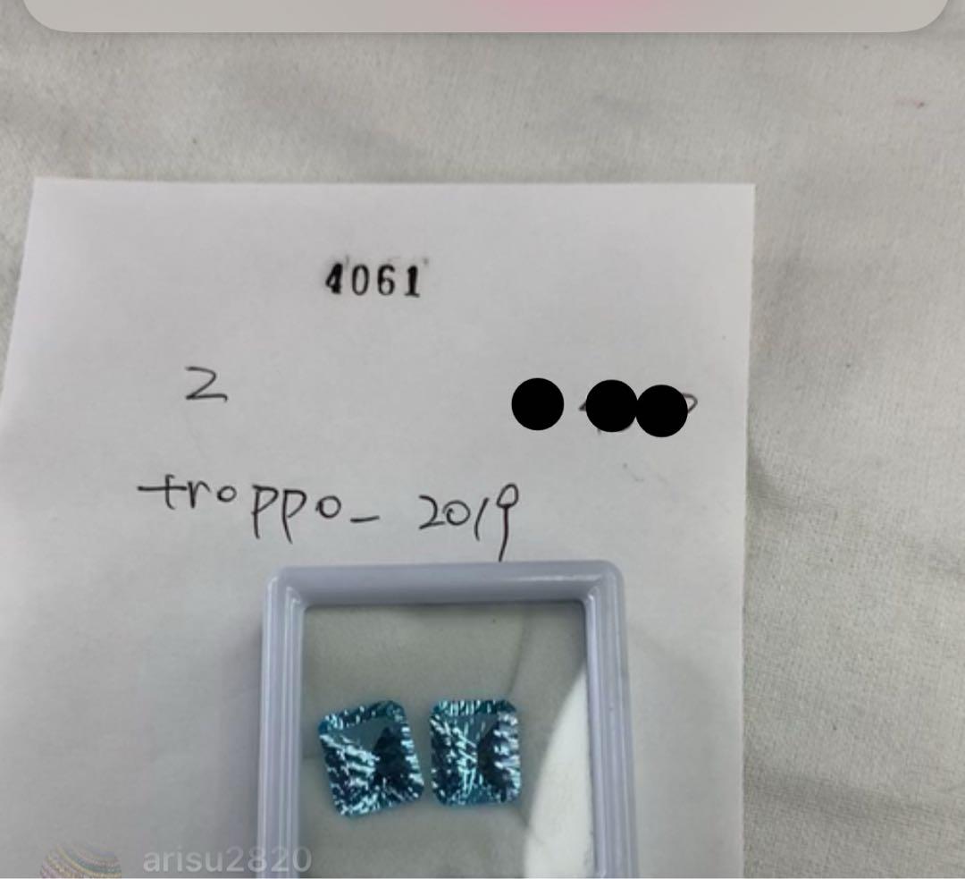 ポメころび 14kgfフォッシルコーラルピアス/イヤリング